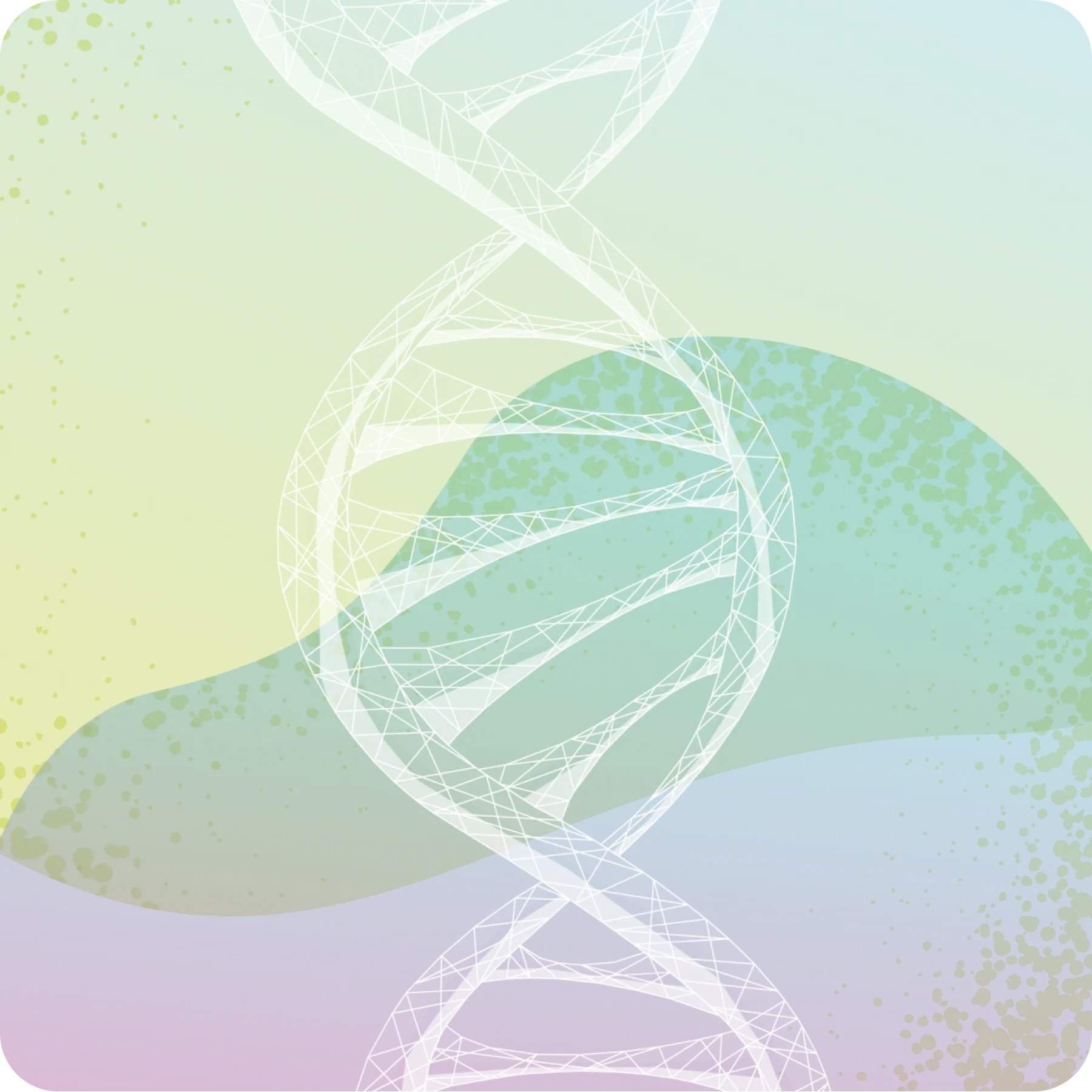 image-1-13x.webp