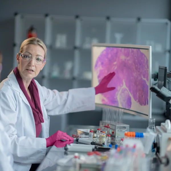 image.webp image.webp