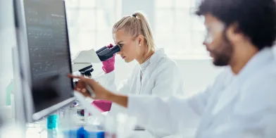 image.webp image.webp