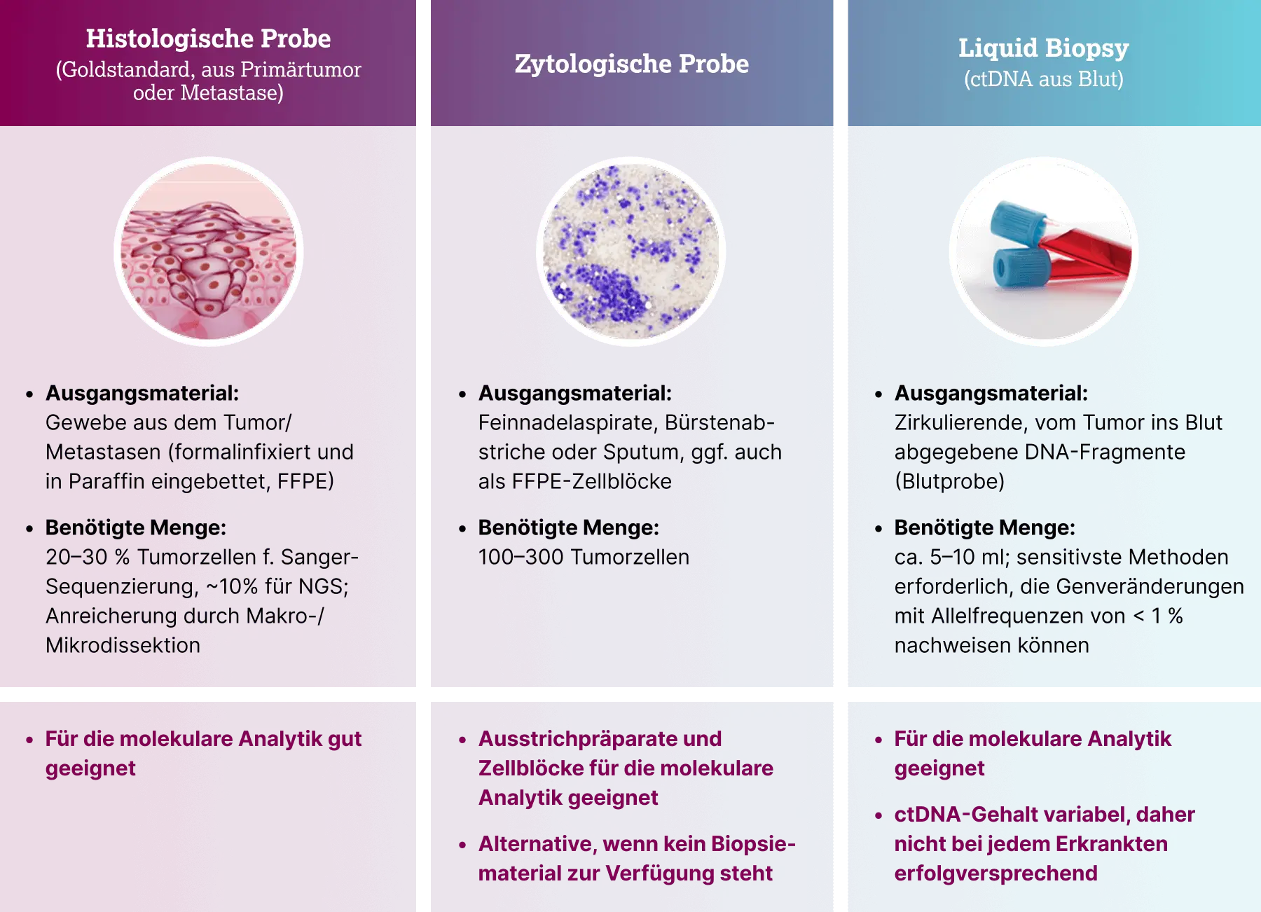 3.1.2-01-diagnostik-therapie-EGFR-Lunge-grafik-ausgangsmaterial-EGFR-Analyse.webp