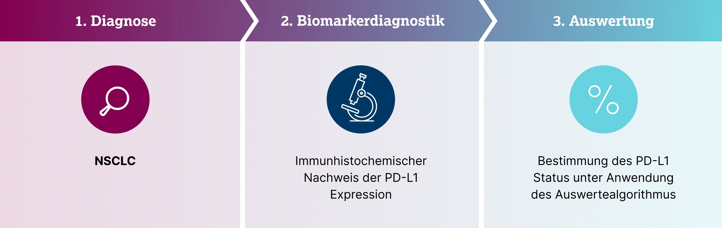 1.2.3-02-tumorerkrankungen-PD-L1-Lunge-grafik-PD-L1-Testung-Erstdiagnose2x.webp
