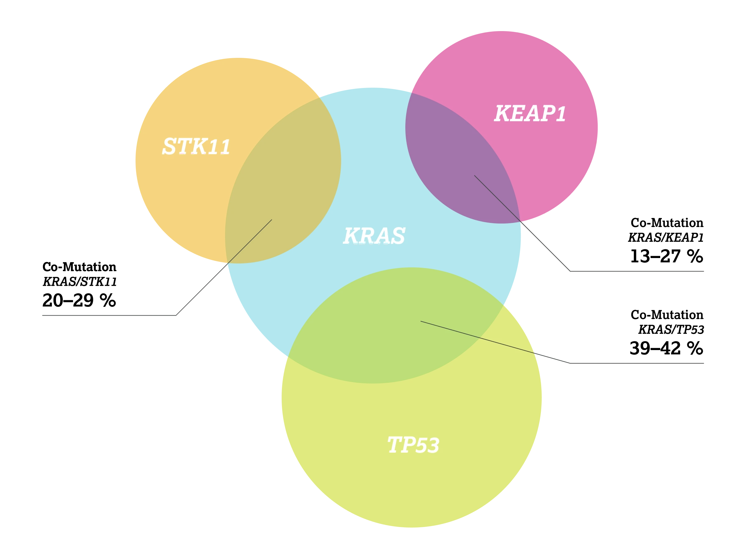 1.2.4-01-tumorerkrankungen-KRAS-Lunge-grafik-praevalenzen-co-mutationen2x.webp