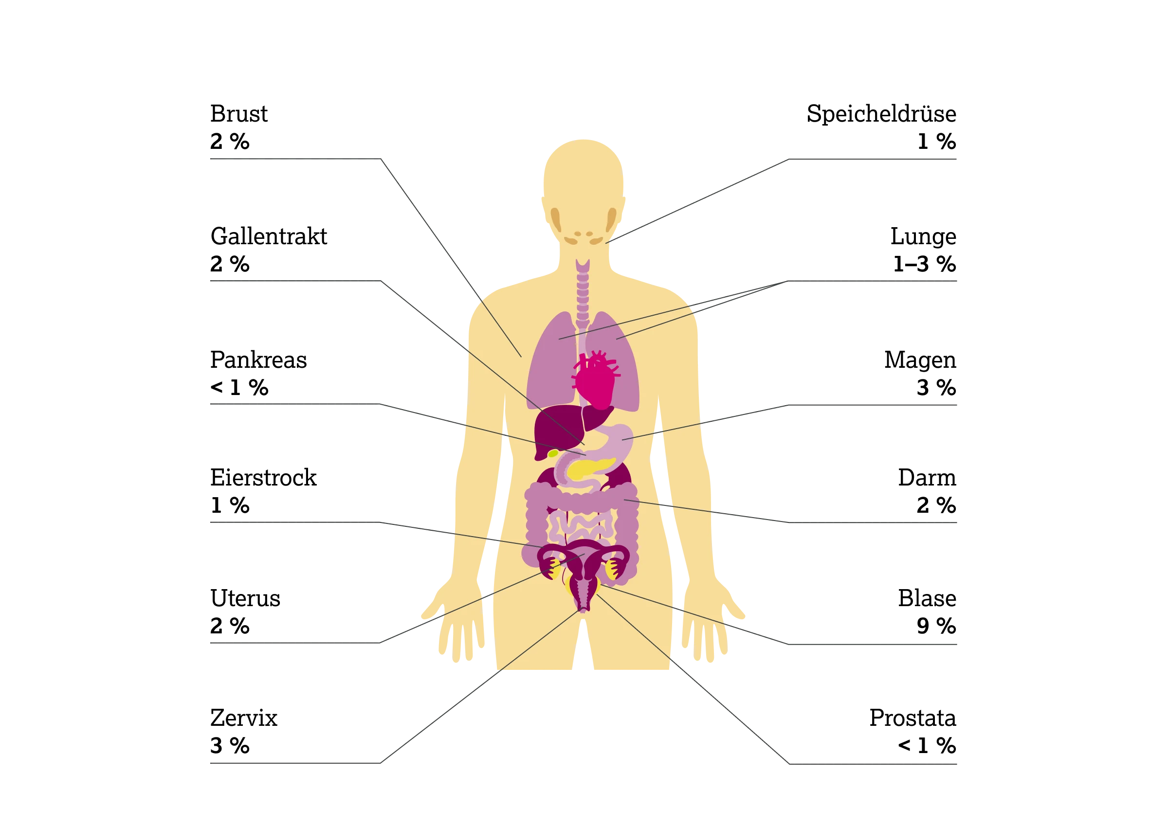 2.2.2-01-biomarker-HER2-grafik-praevalenz-mutation2x.webp
