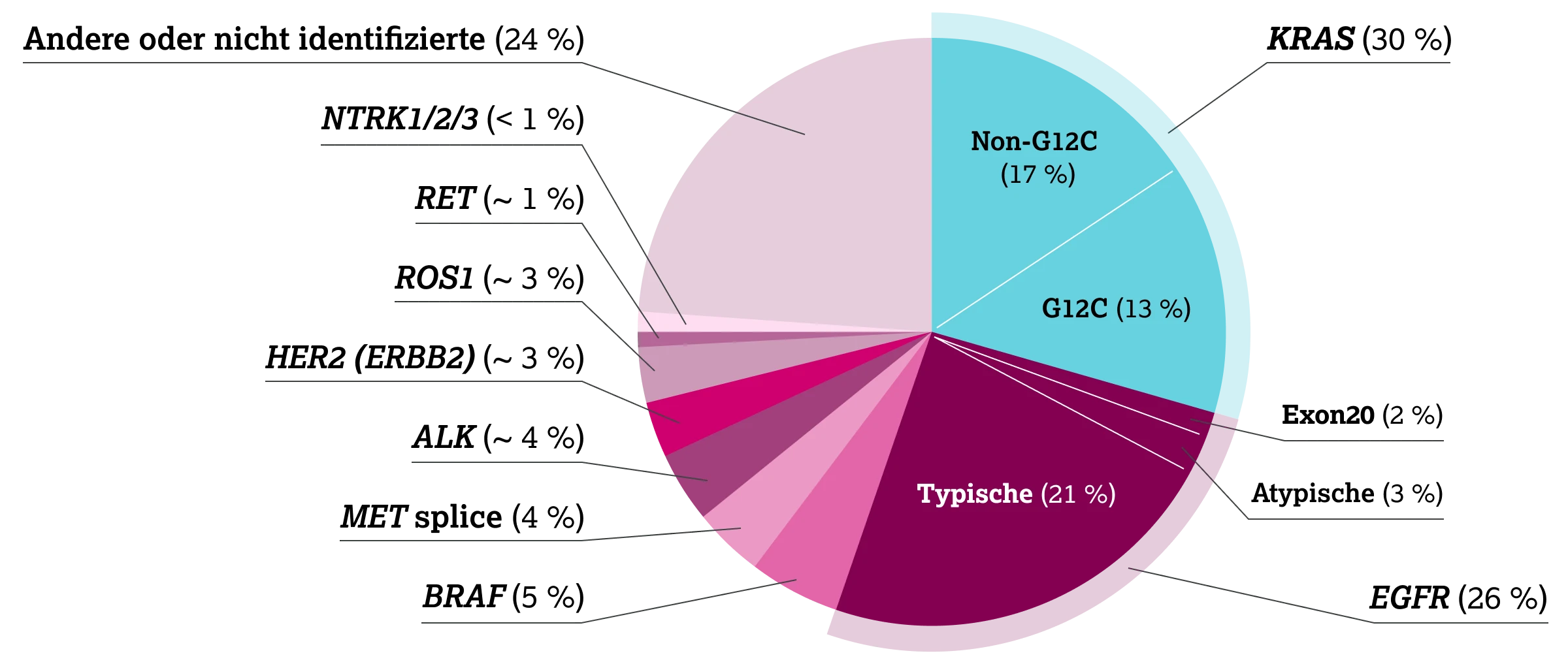 1.2.1-05-tumorerkrankungen-NSCLC-grafik-treibermutationen2x.webp