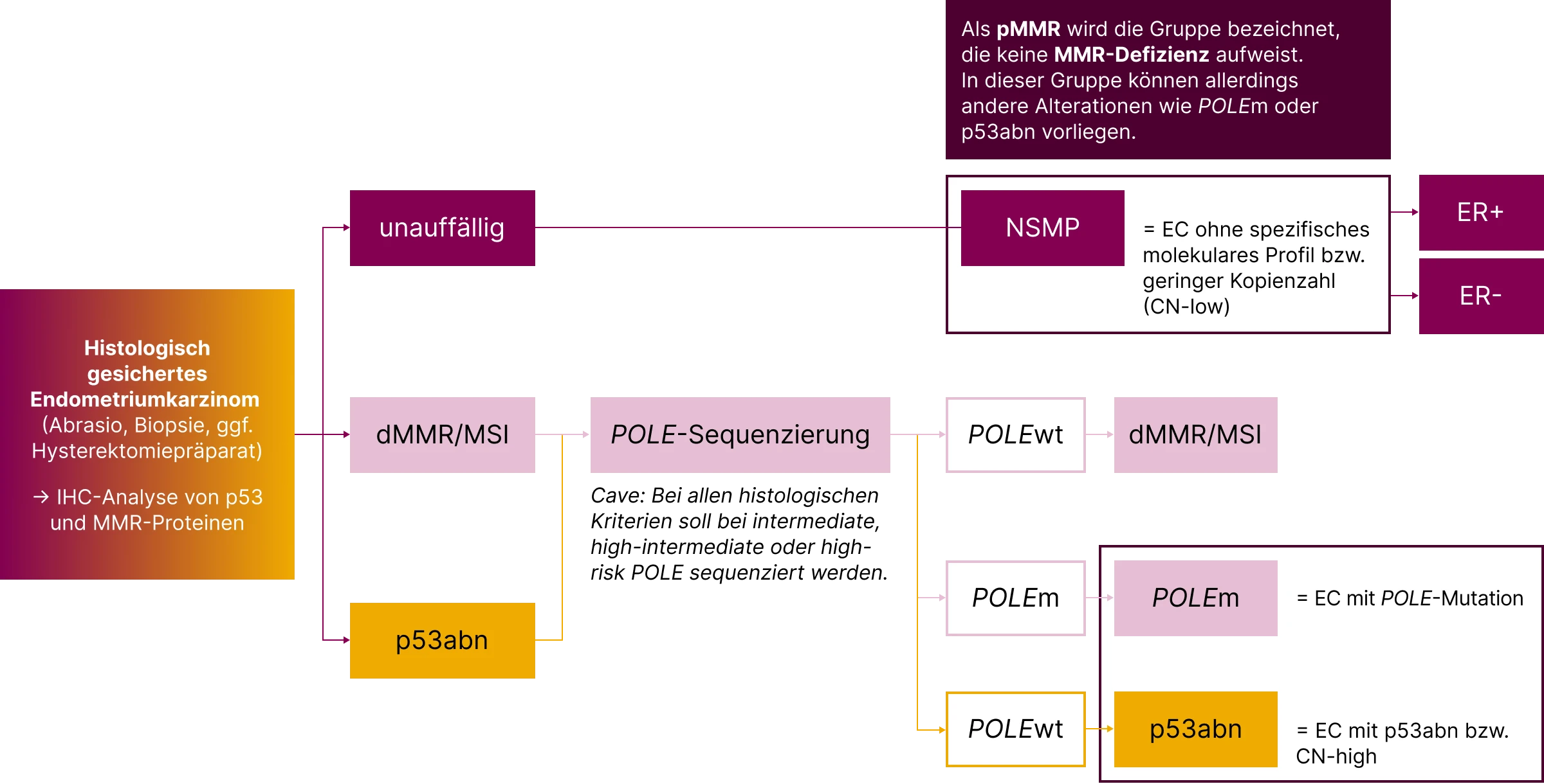 1.1.1-03-tumorerkrankungen-endometriumkarzinom-grafik-Algorithmus-zur-molekularen-Klassifikation2x.webp