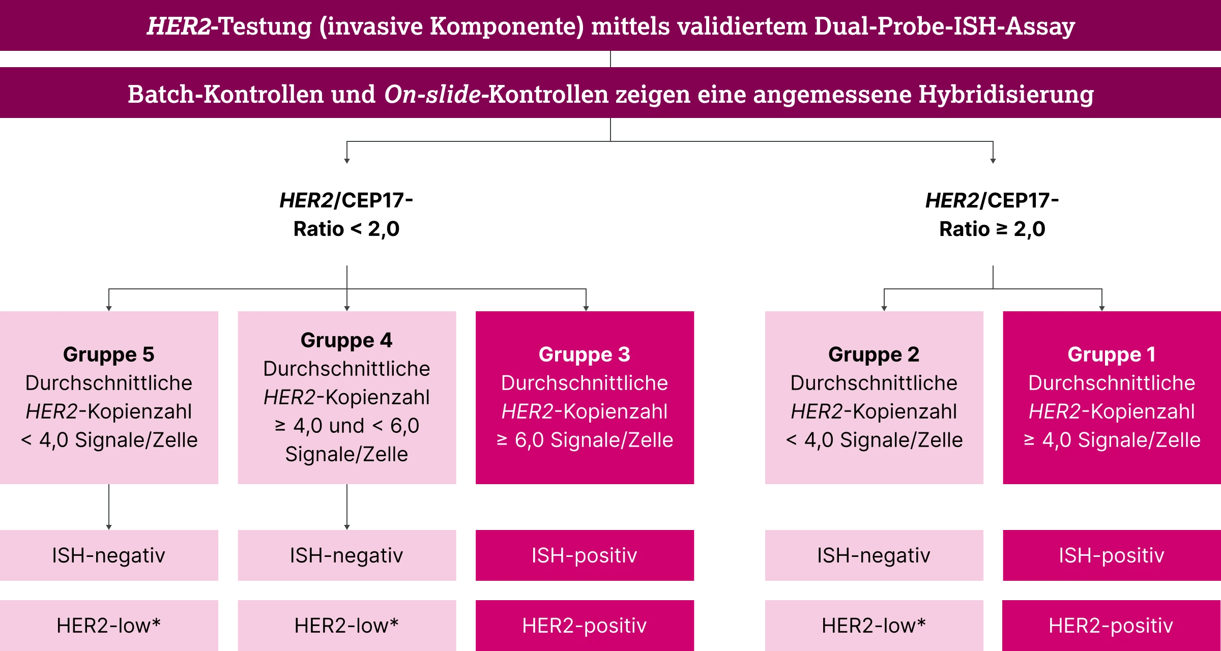 3.2.2-03-diagnostik-therapie-HER2-grafik-In-situ-Hybridisierung-2x.webp