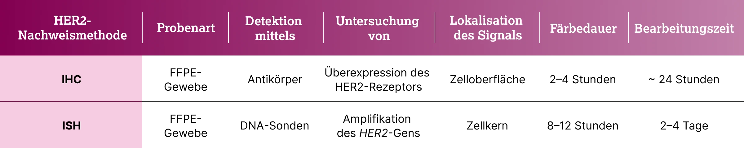 3.2.2-03-diagnostik-therapie-HER2-grafik-nachweismethoden2x.webp