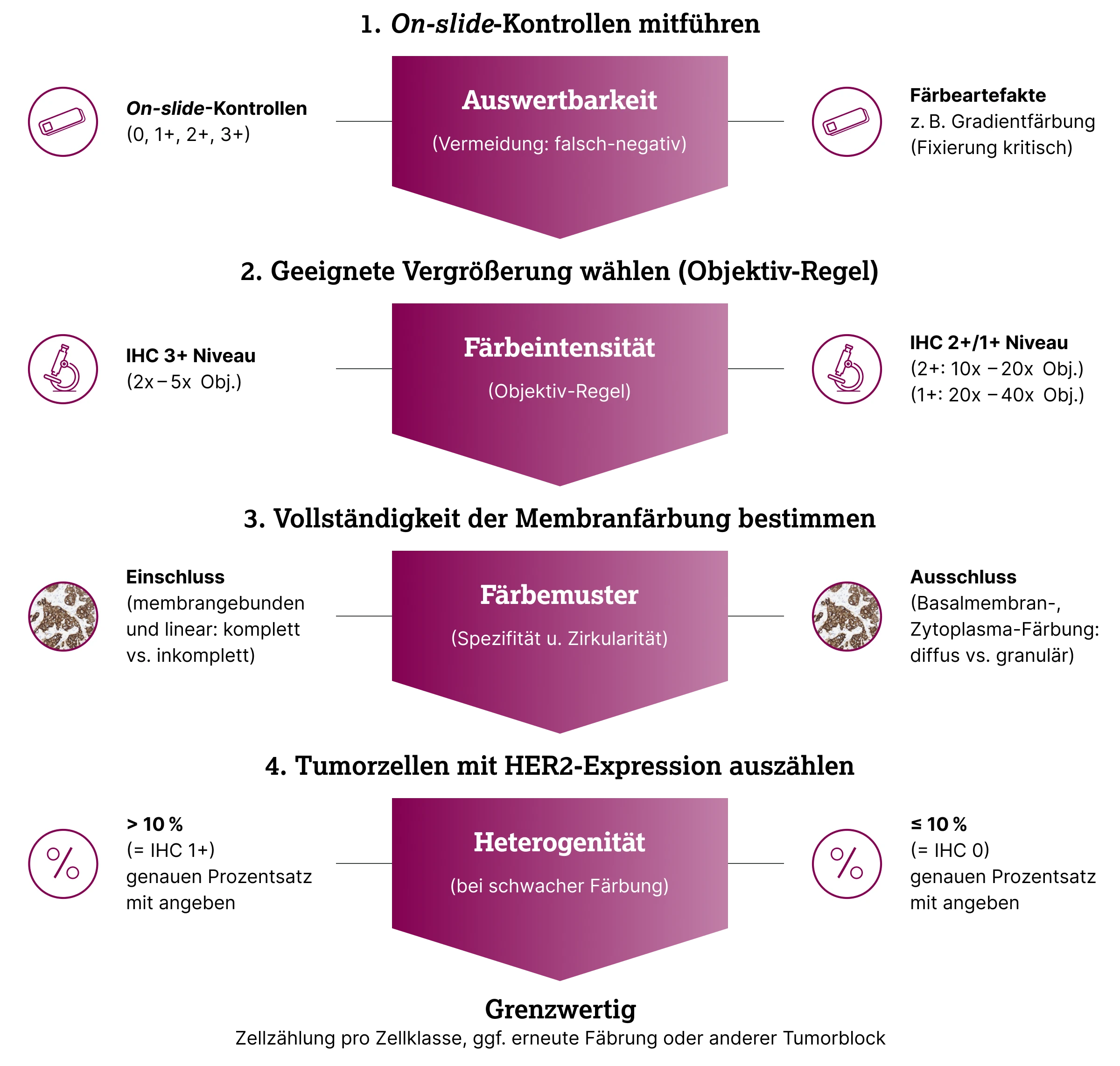 3.2.2-04-diagnostik-therapie-HER2-grafik-empfehlungen-zum-vorgehen2x.webp