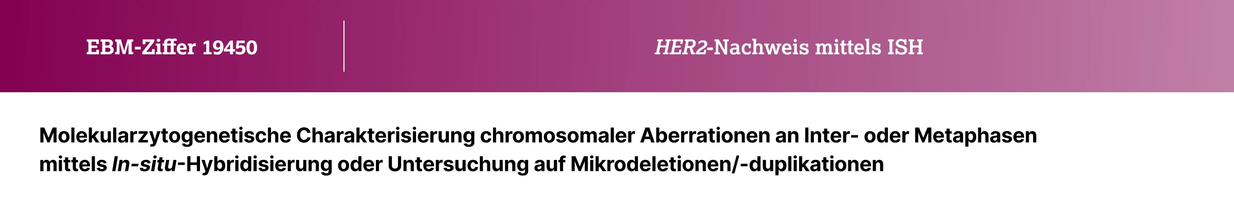 5.3.3-02-weitere-infos-grafik-kostenerstattung-HER2-ISH2x.webp