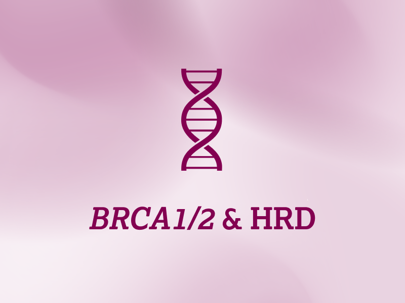 biomarker-teaser-ebene-2-BRCA1-2-HRD-2x_uid_69d4f6fc74539.webp