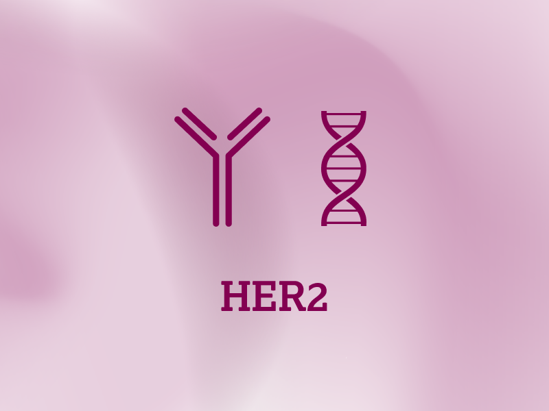 biomarker-teaser-ebene-2-HER2-2x_uid_69d4f6fce5a09.webp