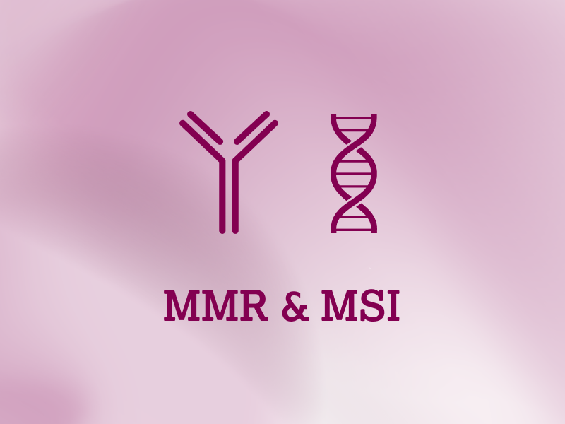 biomarker-teaser-ebene-2-MMR-MSI-2x_uid_69d4f6fd21b7b.webp