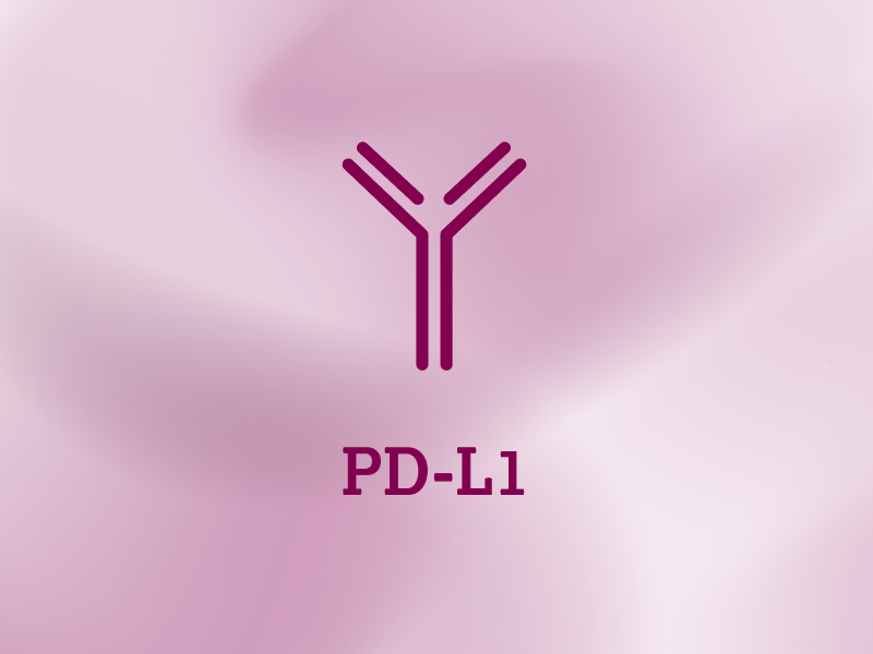biomarker-teaser-ebene-2-PD-L1-2x_uid_69d4f6fc8cb12.webp biomarker-teaser-ebene-2-PD-L1-2x_uid_69d4f6fc8cb12.webp