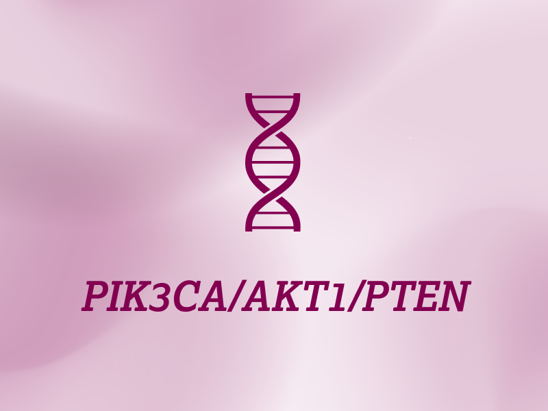 biomarker-teaser-ebene-2-PIK3CA-AKT1-PTEN-2x_uid_69d4f6fcb366a.webp