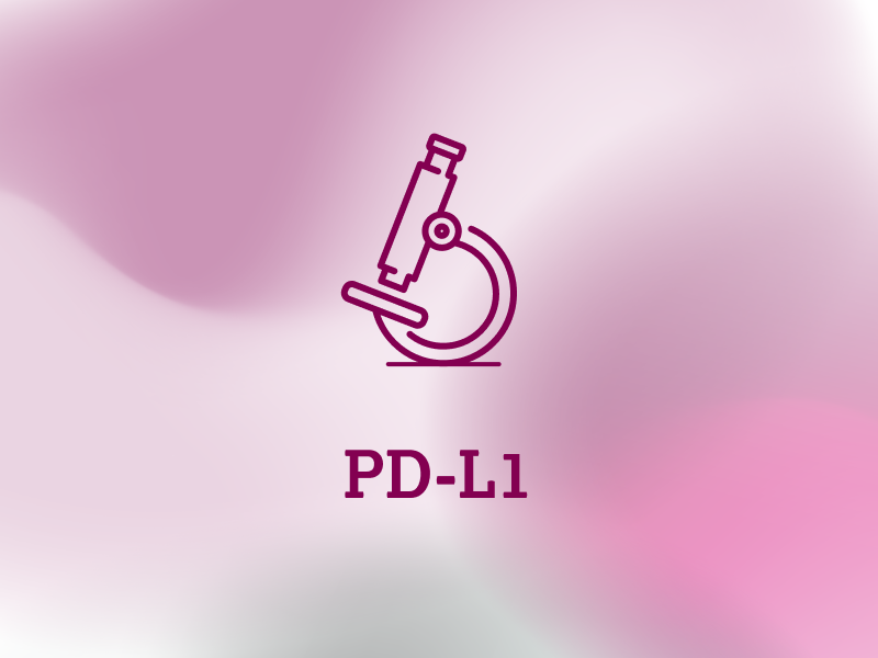 diagnostik-teaser-ebene-2-PD-L1-2x_uid_69d4f70a3b72a.webp