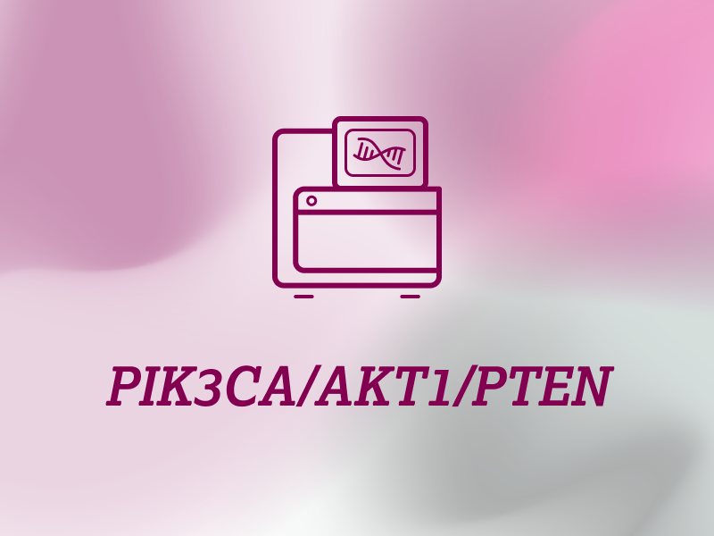 diagnostik-teaser-ebene-2-PIK3CA-AKT1-PTEN-2x_uid_69d4f70a0912d.webp