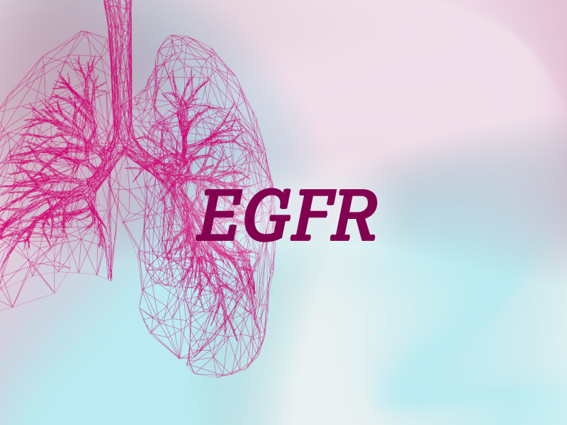 teaser-lung-ebene-2-EGFR-2x_uid_69d4f9a93cdbd.webp