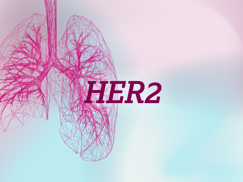 teaser-lung-ebene-2-HER2-2x_uid_69d4f6ef26fde.webp