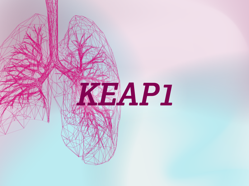 teaser-lung-ebene-2-KEAP1-2x_uid_69d4f6ef0dbff.webp teaser-lung-ebene-2-KEAP1-2x_uid_69d4f6ef0dbff.webp