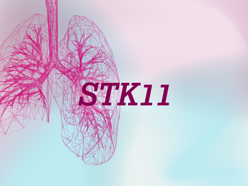 teaser-lung-ebene-2-STK11-2x_uid_69d4f9db480b5.webp