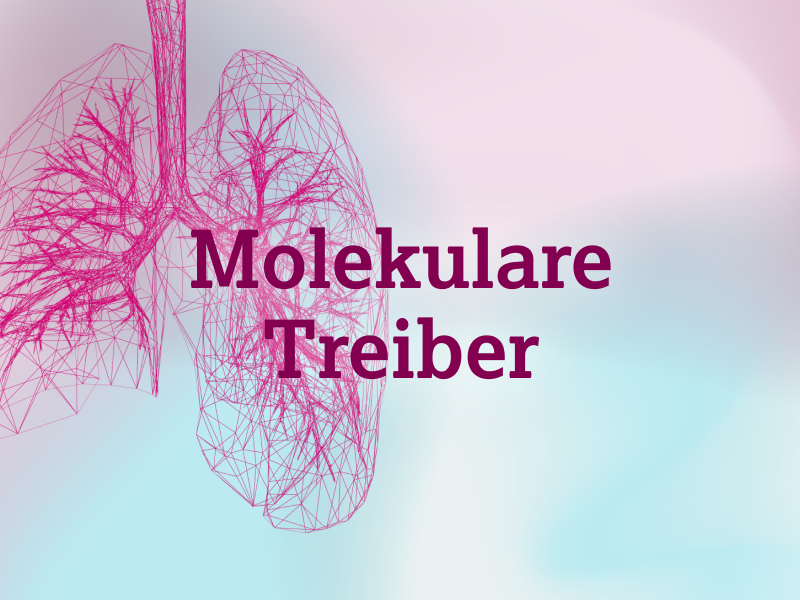 teaser-lung-ebene-2-molekulare-treiber-2x_uid_69d4f6ef1a699.webp
