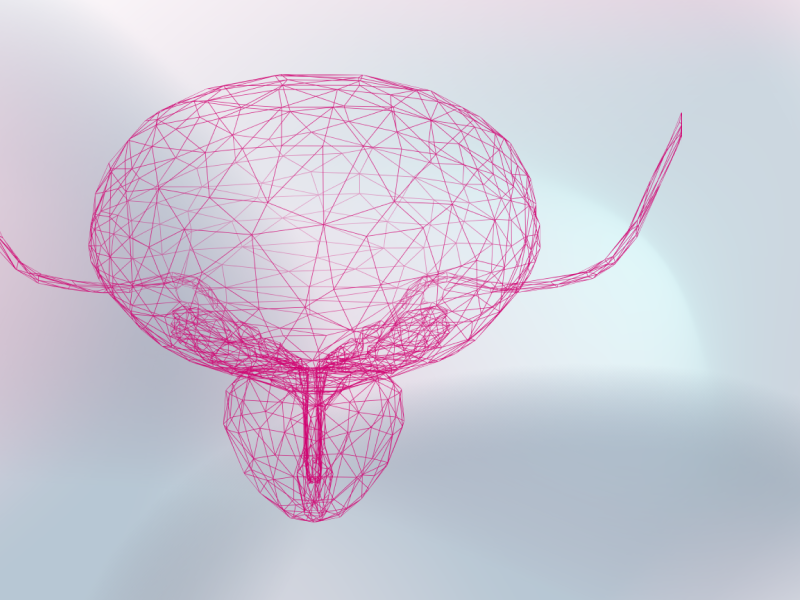 teaser-prostate-ebene-1-2x_uid_69d4f6eeea28b.webp teaser-prostate-ebene-1-2x_uid_69d4f6eeea28b.webp