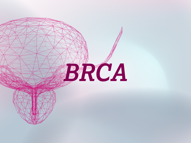 teaser-prostate-ebene-2-BRCA-2x_uid_69d4f6eedd686.webp