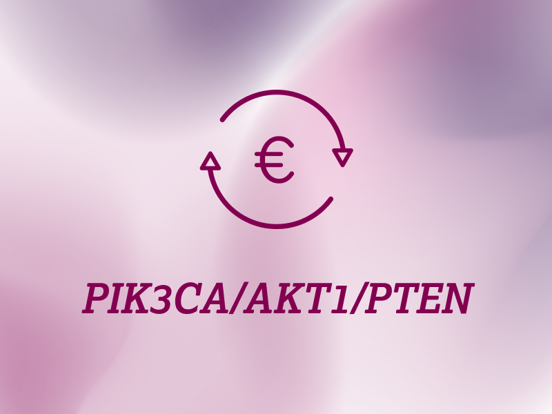 weitere-informationen-teaser-kostenerstattung-ebene-2-PIK3CA-AKT1-PTEN-2x_uid_69d4f714ec566.webp