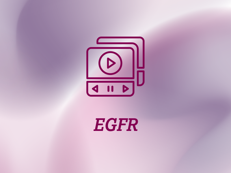 weitere-informationen-teaser-mediathek-ebene-2-EGFR-2x_uid_69d4f715690b0.webp