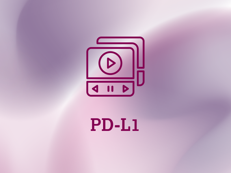 weitere-informationen-teaser-mediathek-ebene-2-PDL1-2x_uid_69d4f71575bb2.webp
