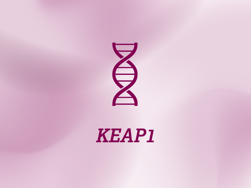 biomarker-teaser-ebene-2-KEAP1-2x_uid_69d63b2037988.webp biomarker-teaser-ebene-2-KEAP1-2x_uid_69d63b2037988.webp