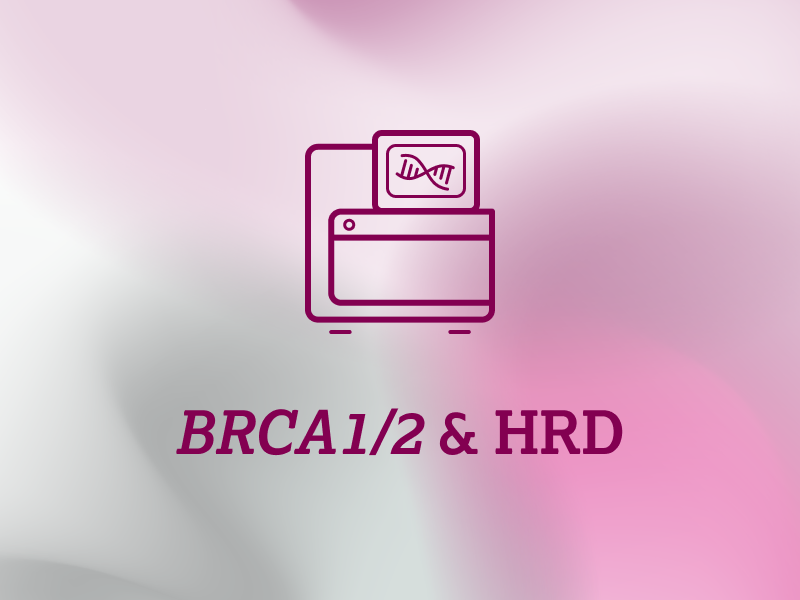 diagnostik-teaser-ebene-2-BRCA1-2-HRD-2x_uid_69d675e967346.webp