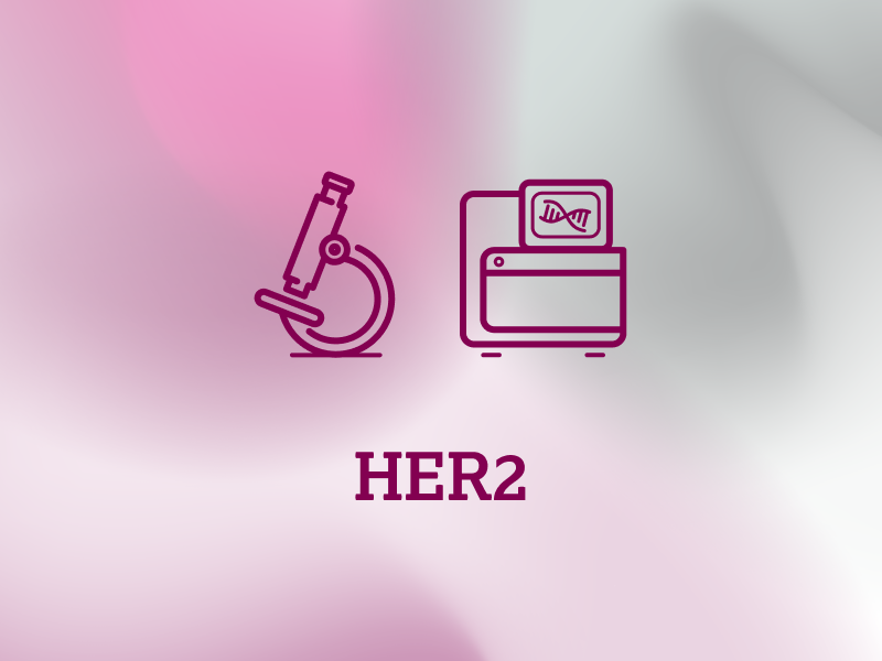 diagnostik-teaser-ebene-2-HER2-2x_uid_69d675d4bbfdb.webp
