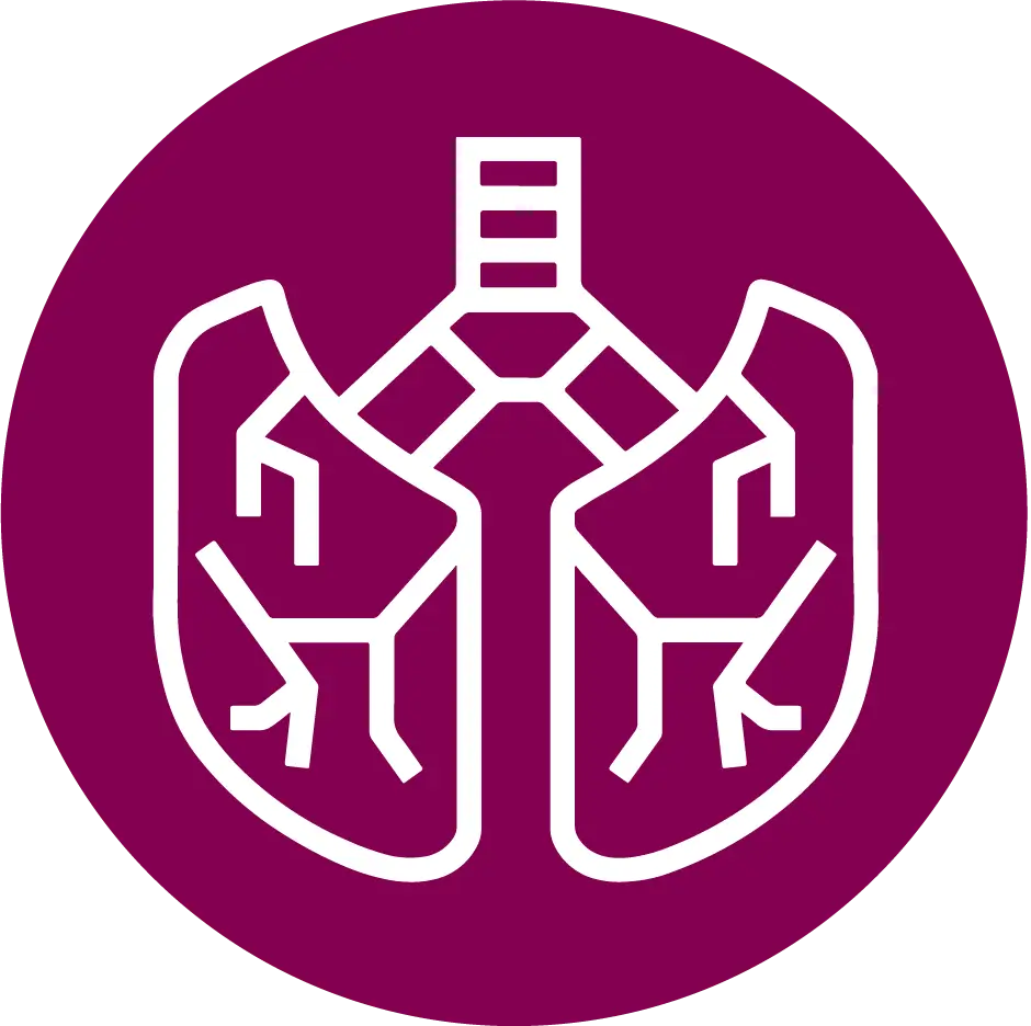 Lung_Mulberry.webp