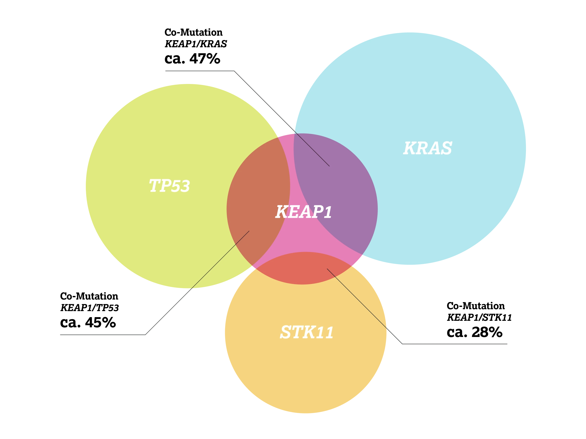1.2.6-01-tumorerkrankungen-KEAP1-Lunge-grafik-praevalenzen2x.webp