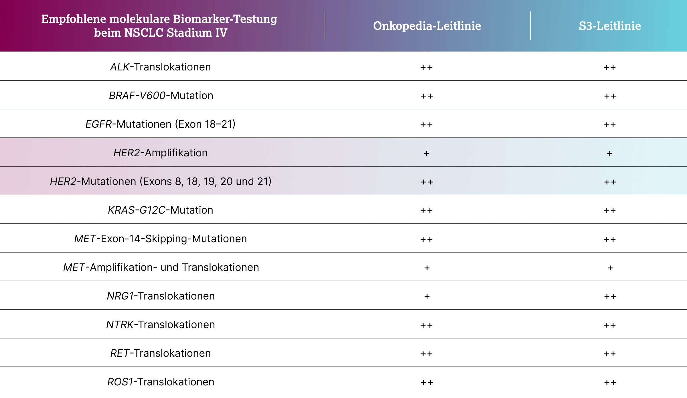 1.2.7-01-tumorerkrankungen-HER2ERBB2-Lunge-grafik-biomarker-testung2x.webp