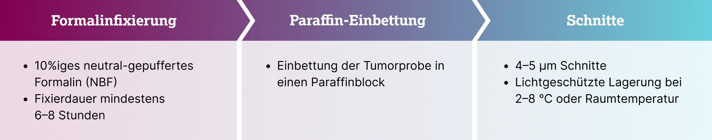 3.6.2-02-diagnostik-therapie-PD-L1-lunge-grafik-probenvorbereitung2x.webp