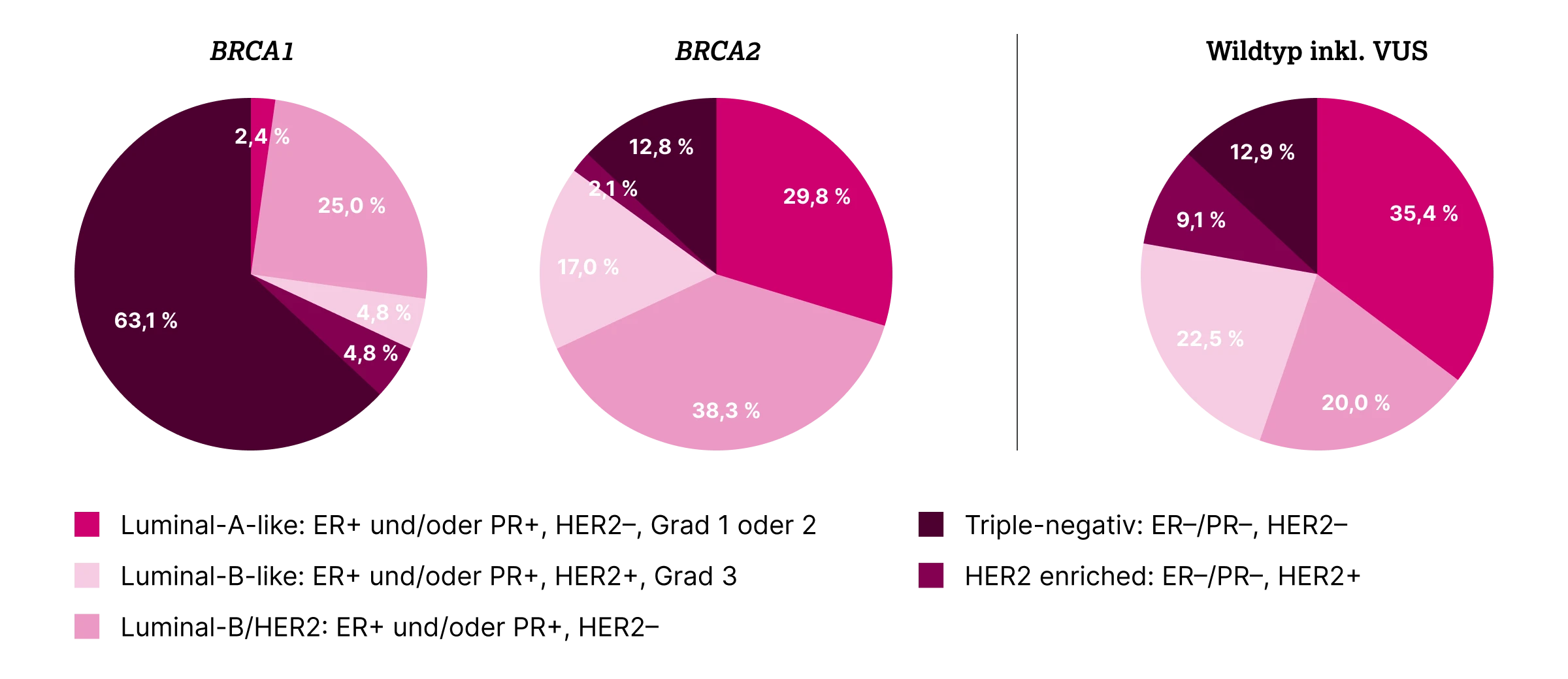 1.3.1-02-tumorerkrankungen-BRCA12-Mamma-grafik-typen2x.webp 1.3.1-02-tumorerkrankungen-BRCA12-Mamma-grafik-typen2x.webp