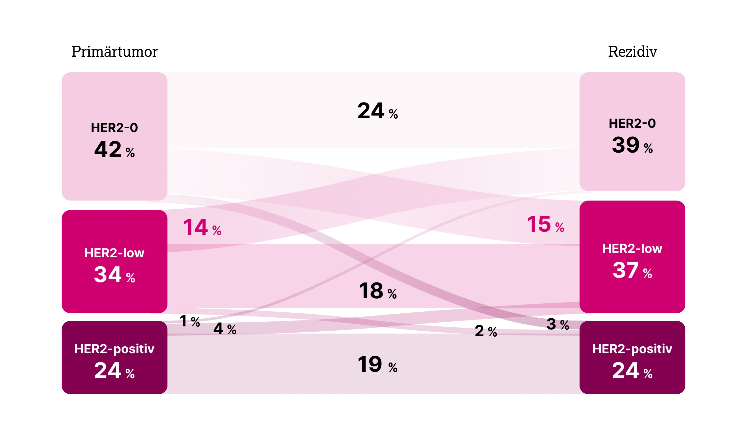 1.3.2-01-tumorerkrankungen-HER2-Mamma-grafik-veraenderung-her2-expression2x.webp