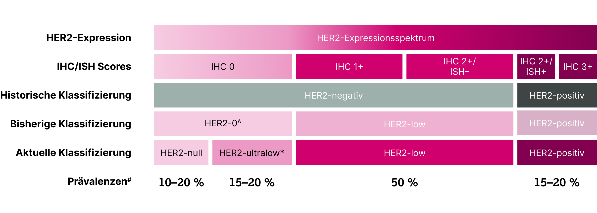 1.3.2-03-tumorerkrankungen-HER2-Mamma-grafik-spektrum-1.webp