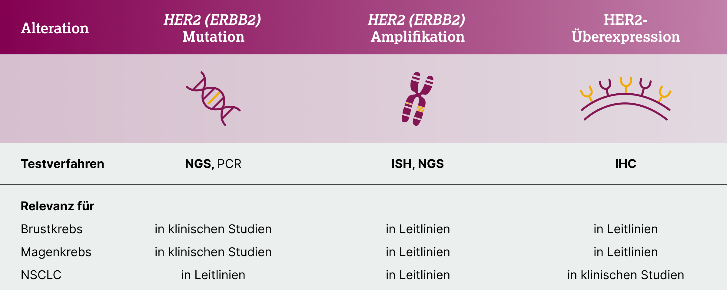 3.2.1-04-diagnostik-therapie-HER2-grafik-testverfahren.webp