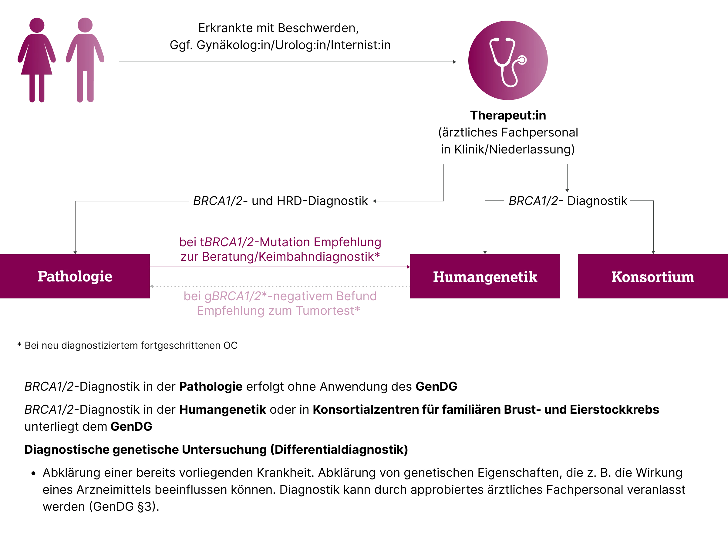 3.3.1-01-diagnostik-HRD-BRCA-allgemein-grafik-ablauf-bei-Erkrankten2x.webp