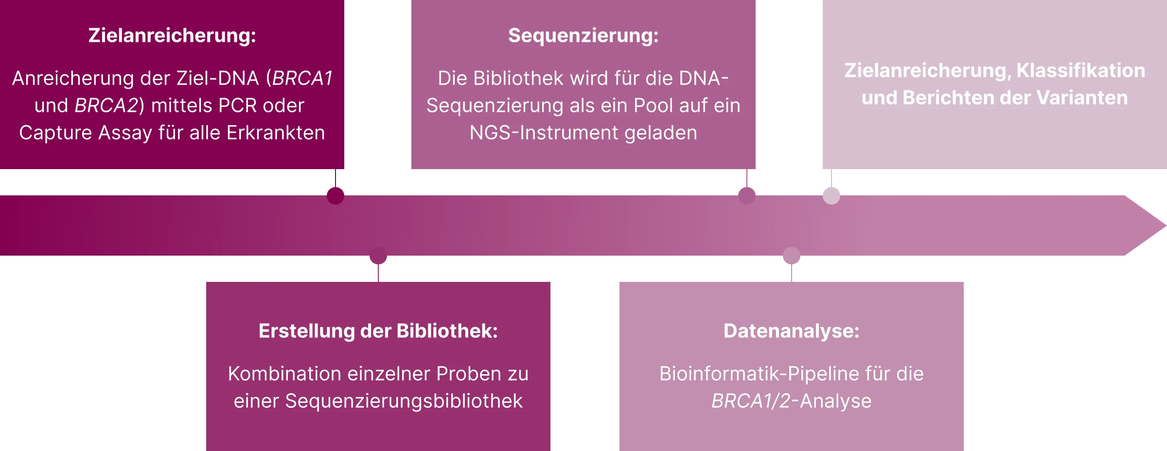 3.3.1-01-diagnostik-HRD-BRCA-allgemein-grafik-ablauf-der-NGS-Diagnostik2x.webp