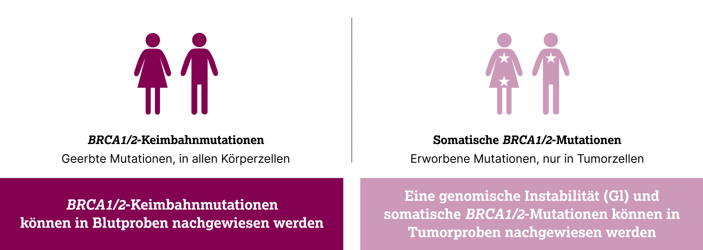3.3.1-01-diagnostik-HRD-BRCA-allgemein-grafik-ansaetze-zur-bestimmung-von-BRCA2x.webp