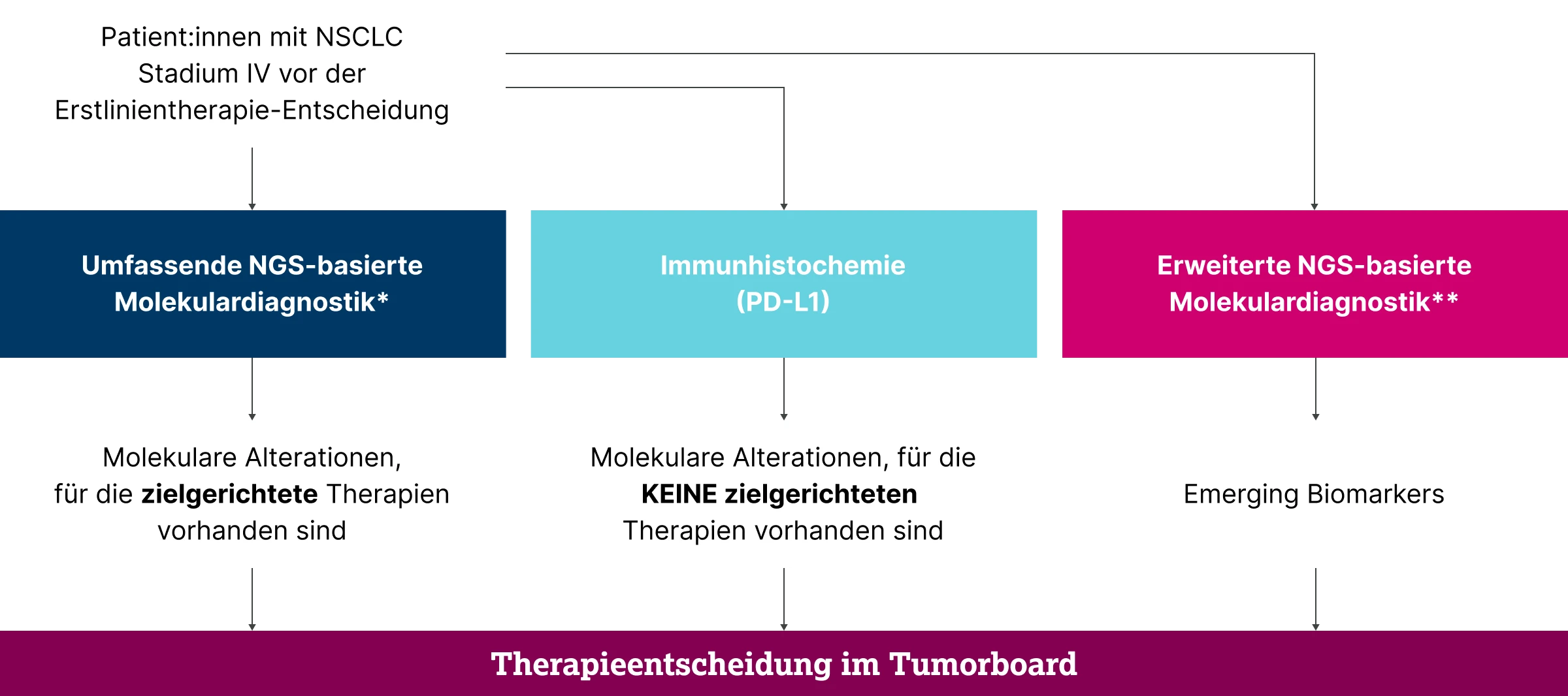 3.4.1-01-diagnostik-therapie-KRAS-STK11-KEAP1-grafik-S3-LL2x.webp