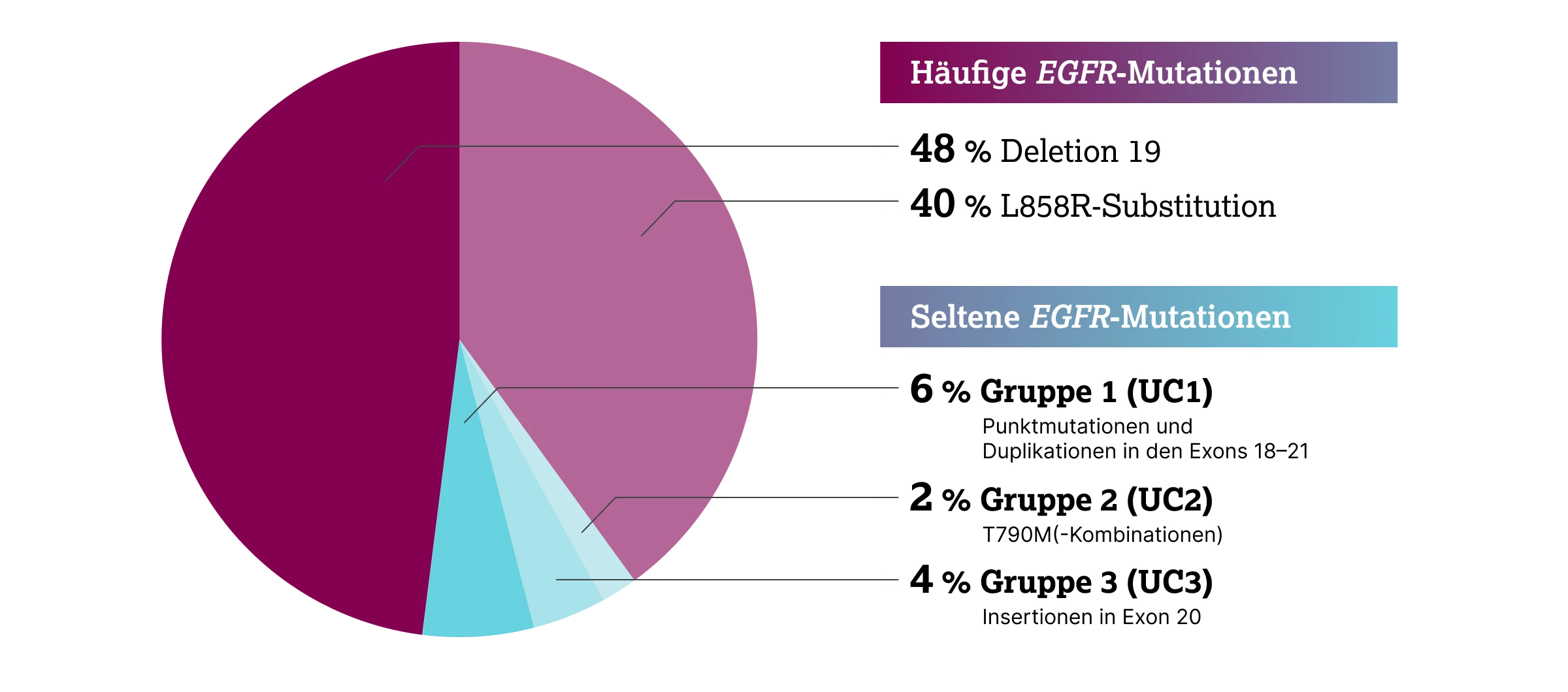1.2.2-02-tumorerkrankungen-EGFR-Lunge-grafik-nachweisbare-EGFR-mutationen2x.webp