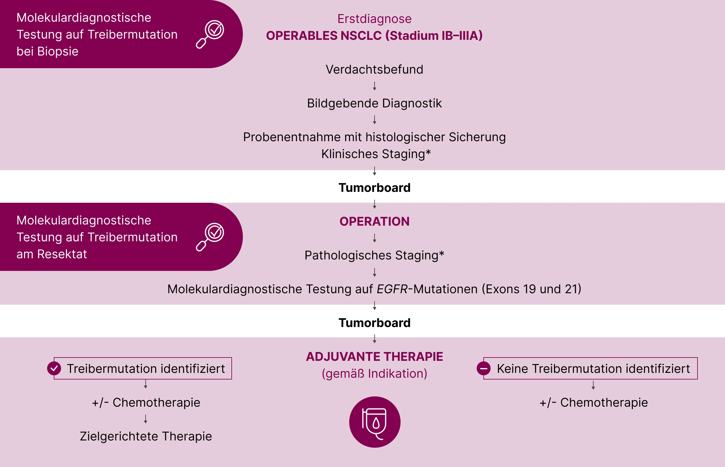 1.2.2-02-tumorerkrankungen-EGFR-Lunge-grafik-testzeitpunkt-operabel2x.webp
