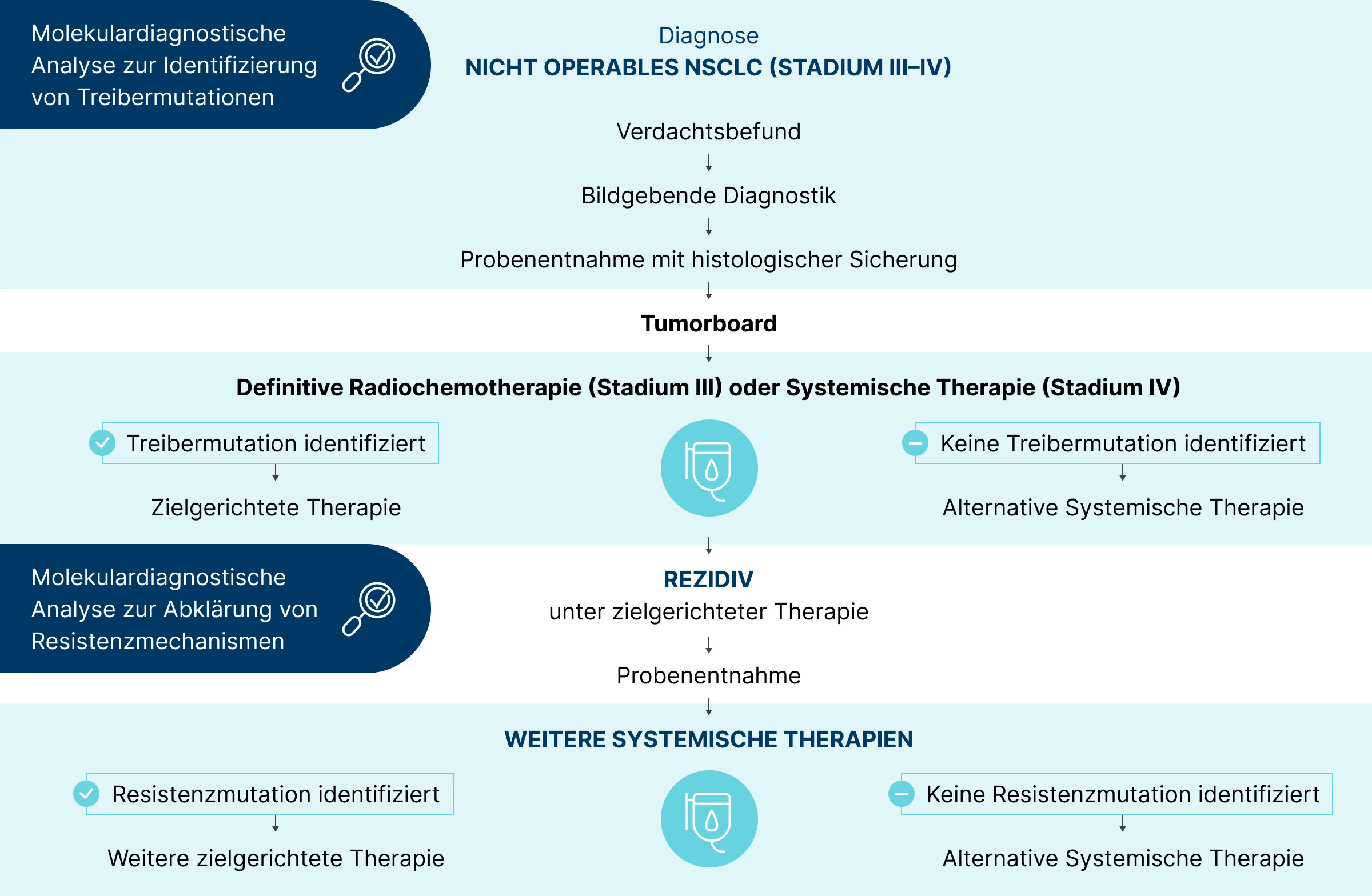 1.2.2-03-tumorerkrankungen-EGFR-Lunge-grafik-testzeitpunkt-nicht-operabel2x.webp